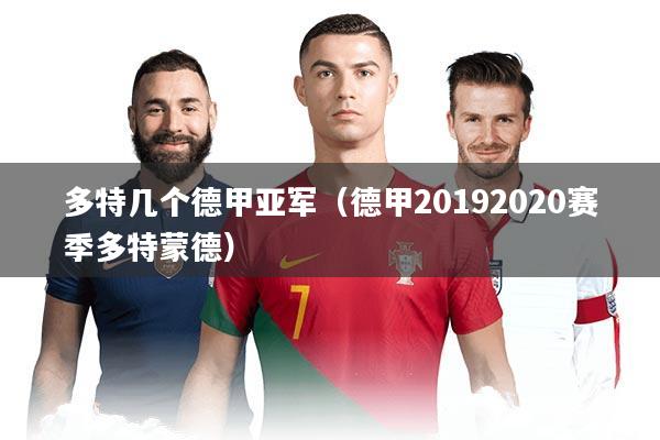 多特几个德甲亚军（德甲20192020赛季多特蒙德）